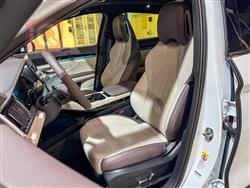 بي واي دي سونغ بلس